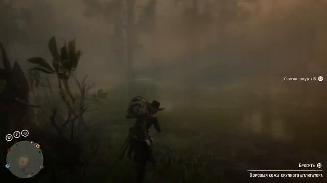 КОЛЛЕКЦИИ И ЛОШАДЬ СТРЕЛКА В RED DEAD ONLINE смотреть онлайн