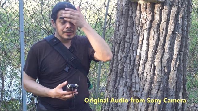 Bachelor's Grove Cemetery disembodied voice captured on recording | Paranormal activity caught evp смотреть онлайн