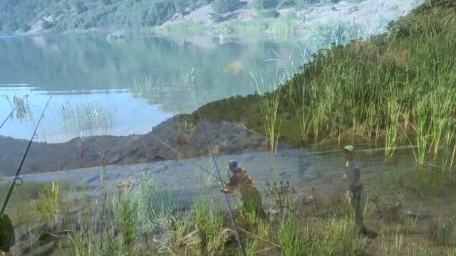 Galve Gölü Sazan Avı Float Fishing For Carp Galve Lake Lithuania 2.Bölüm Part-2 смотреть онлайн