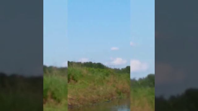 Поездка на катере .По реке Луга смотреть онлайн