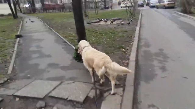 31 грудня 2017 р. смотреть онлайн