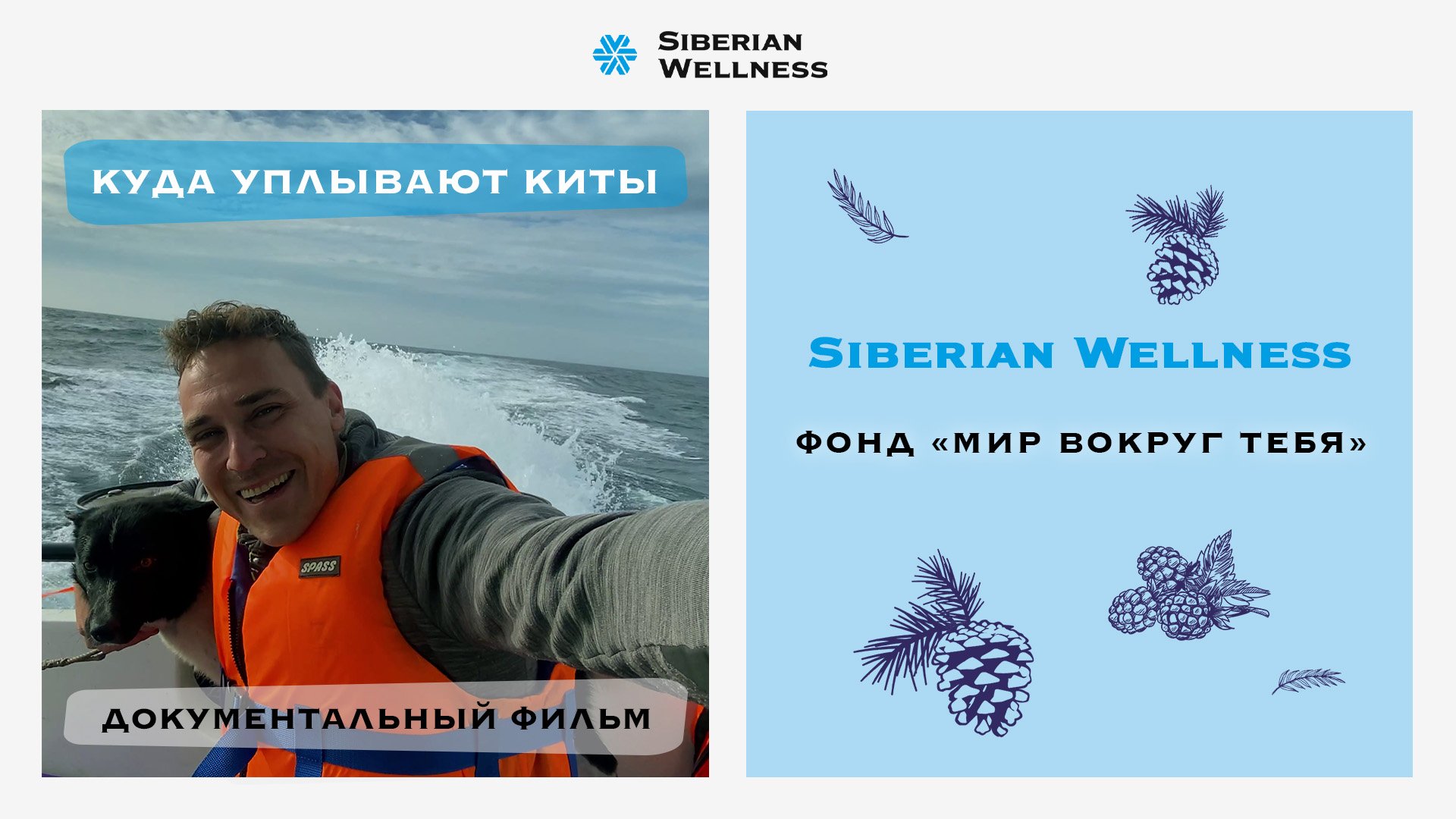 «Куда уплывают киты». Авторский фильм участника экспедиции, блогера Павла Макарова смотреть онлайн