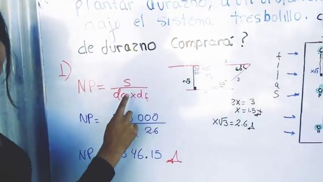 SISTEMA TRESBOLILLO, densidad de plantación смотреть онлайн
