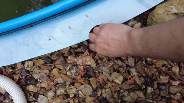 Расконсервация и чистка бассейна после зимы. Часть 1. смотреть онлайн