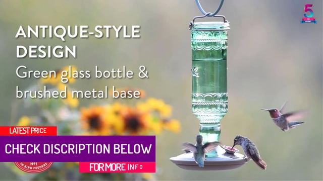 Top 5 Best Hummingbird Feeders in 2023 смотреть онлайн