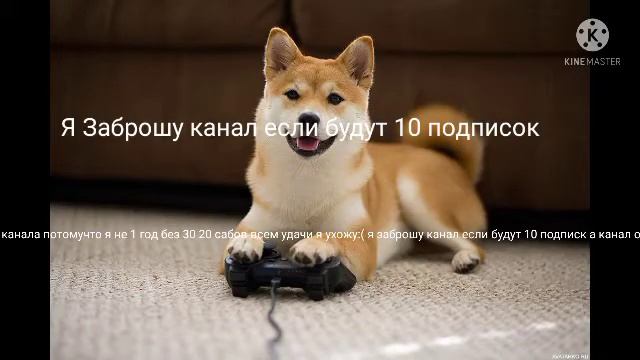 Я заброшу канал потомучто 2 годе без 20 30 сабов если будет 10 подписк я заброшу канал смотреть онлайн