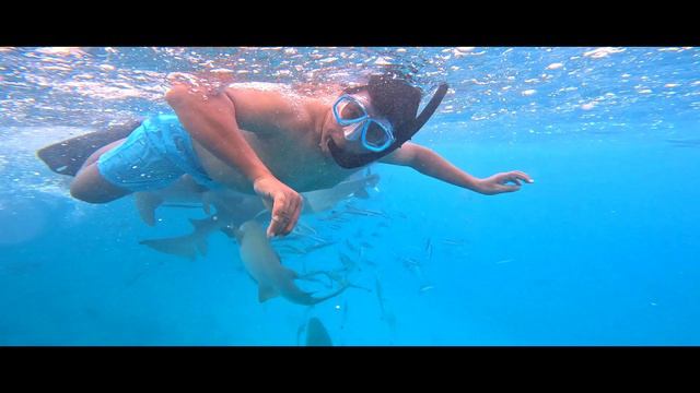 Maldives - The World's Leading Destination - Cinematic Teaser смотреть онлайн