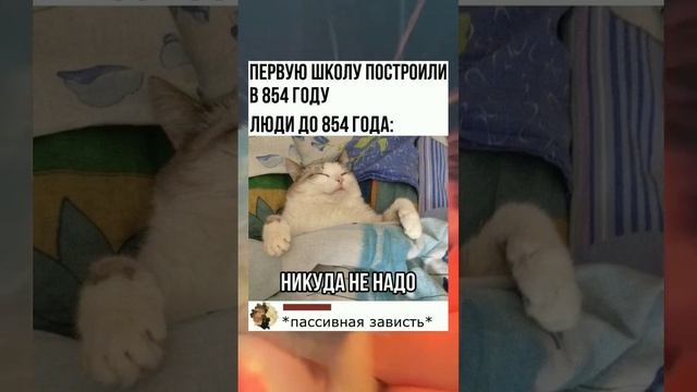 #short #shorts #мем #мемы #прикол #юмор #funny (6) смотреть онлайн