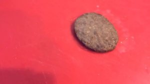 Мастер класс - Жарка котлет для бургеров в пароконвектомате