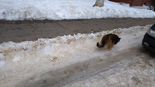 VID 20180323 115958 смотреть онлайн
