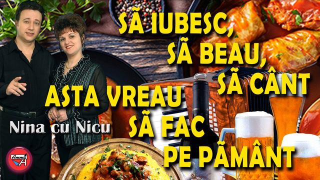 PETRECERE - ROMÂNEȘTE CU NINA ȘI NICU смотреть онлайн