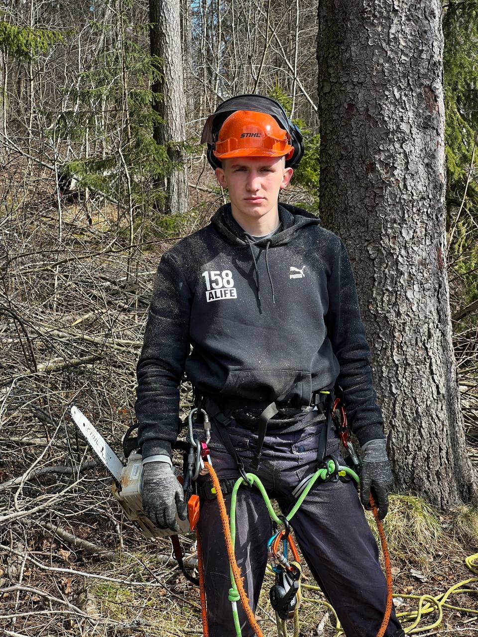 Спил аварийного дерева Арбористом.
