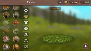 СИМУЛЯТОР МАЛЕНЬКОГО ПИТОМЦА #5 Жизнь Зверей Онлайн. Играю за рысей #ПУРУМЧАТА