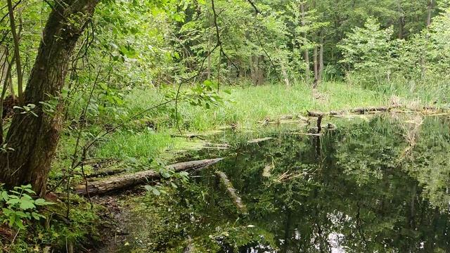 VID_20230616_132101 смотреть онлайн