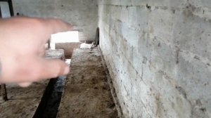 ?Сарай для свиней на 50 голов, 1 этап