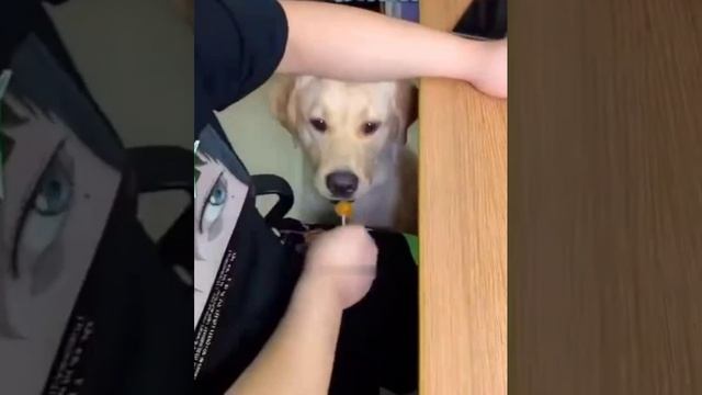 Ну отдай / спасибо смотреть онлайн