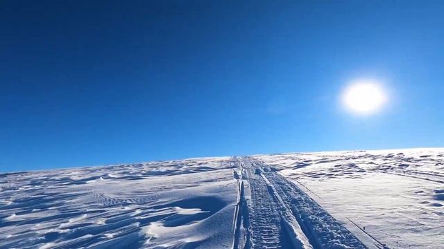 Экспедиция на снегоходах в Горы Алтая!