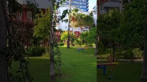 отель Green Peace Hotel июнь 2023г.