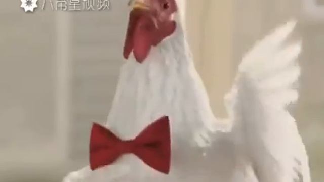 Тусовка года!!! смотреть онлайн