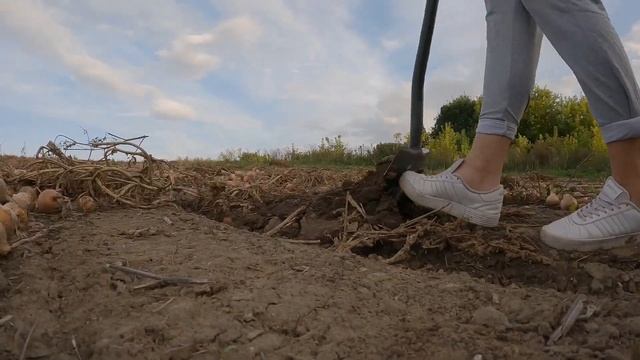 KOLEJNY RAZ JUŻ! COŚ NIEMOŻLIWEGO!! Rozwaliła mnie na łopatki! смотреть онлайн