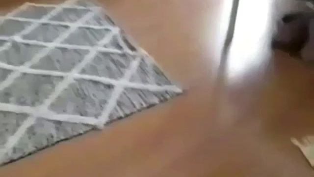 как рожали андрея говноедовича громкая версия наоборот