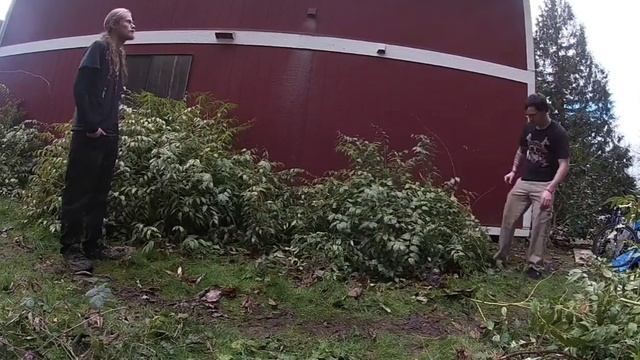 Pruning a Leucothoe Axillaris 'dodd's variegata' смотреть онлайн