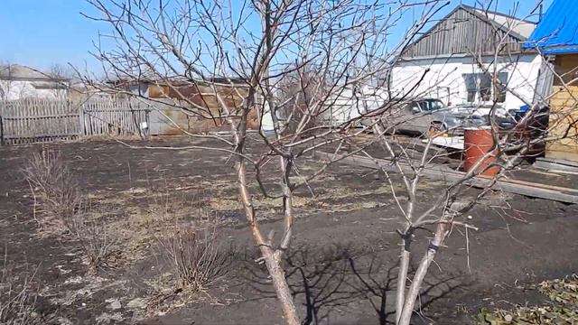 Зашел на огород посмотреть объем работ. смотреть онлайн