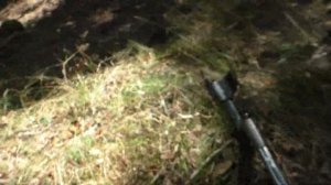 По склонам с Алексом Штальхельмом