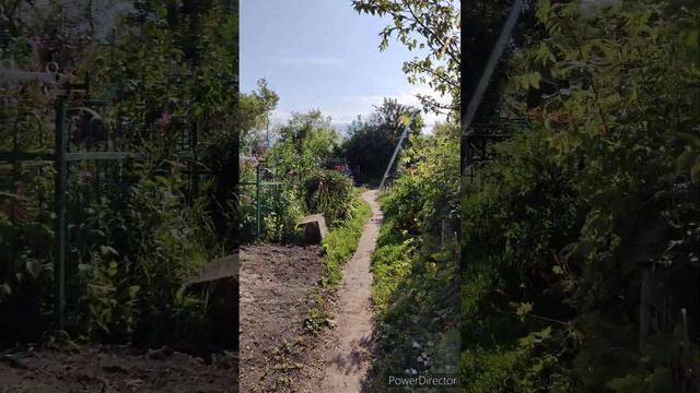 Кладбища. смотреть онлайн