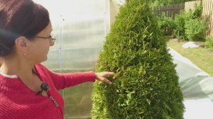 Видео привет с 6 соток 6 июня 2023 года