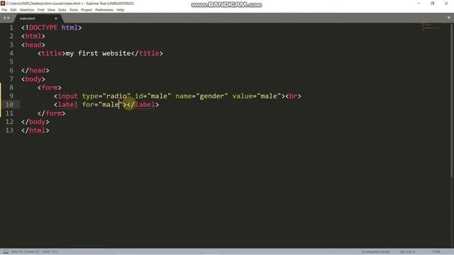Learn HTML | HTML Forms | Edu_Hub смотреть онлайн