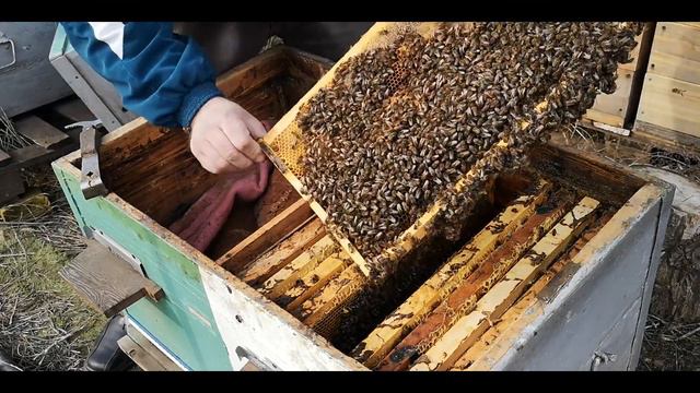 Не удержался)) "Зимний клуб в феврале +15 в тени". смотреть онлайн