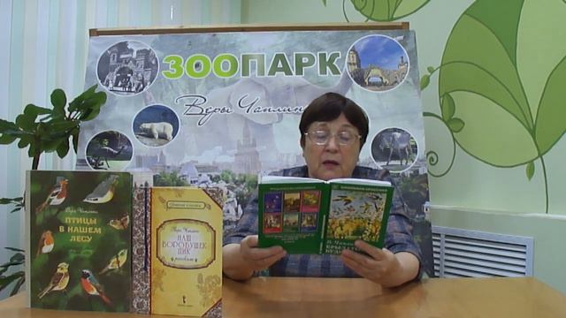 Наши пернатые соседи