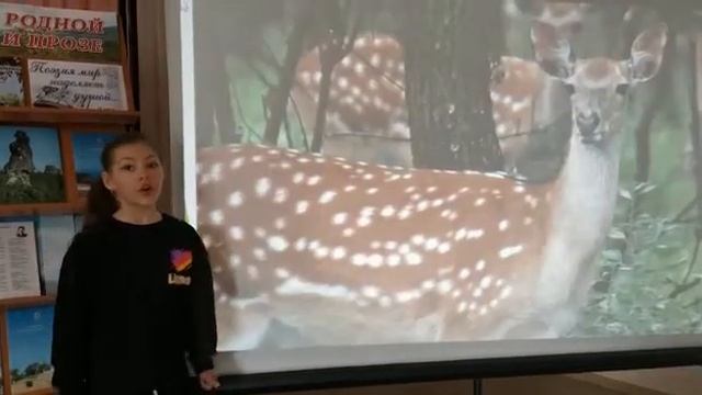 «К 110-летию поэта Комарова П.С.: стих «Оленёнок» (Сеник Г.В.) смотреть онлайн