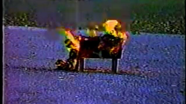 Exploding Sheep смотреть онлайн