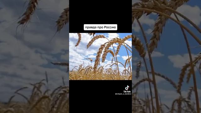 Как живут Русские ,на всяком деле. смотреть онлайн