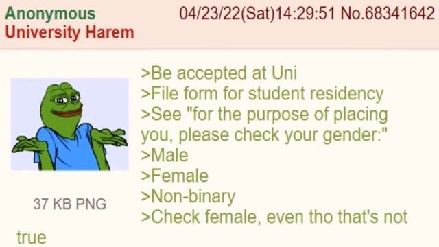 Be accepted at University - A Greentext Story смотреть онлайн