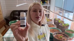 Хорошие средства от паутинного клеща. #садоводство #гортензии