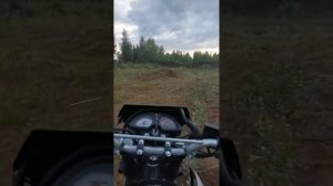 Racer Panther RC300-GY8X  Рейсер пантера 300 Прокатился по  песку