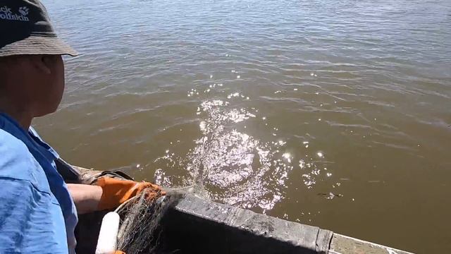 Лицензионная Рыбалка в Усть Камчатском районе смотреть онлайн