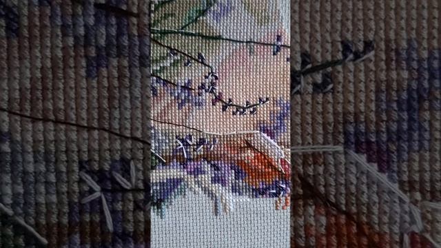 Кусочек 17.02.2020. смотреть онлайн