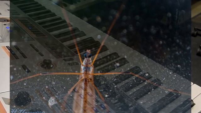 Musik-Improvisation & Foto-Show смотреть онлайн