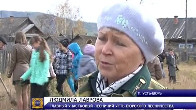 В пострадавшем от пожара селе Усть-Бюр высадили саженцы ели, берёзы и сосны смотреть онлайн