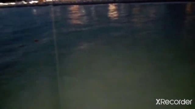 Морская рыбалка. Ловим СТАВРИДУ. Пирс. Колесо обозрения. Лазаревское. Сочи. смотреть онлайн