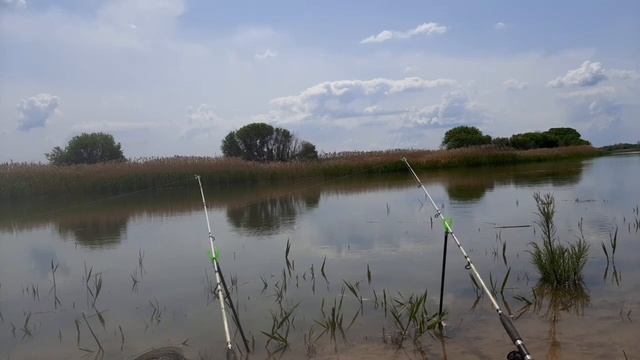 #деревенскаяжизнь #деревня #рыбалка #рыбанутый Рыбалка на карася?? смотреть онлайн