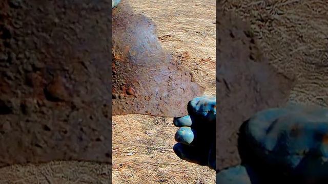 Жаль не целая #металлоискатель #Находка смотреть онлайн