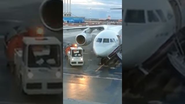 В Пулково разгружают багаж... Животные! смотреть онлайн