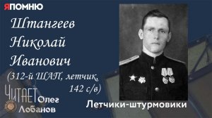 Штангеев Николай Иванович. Проект «Я помню» Артема Драбкина. Летчики-штурмовики.