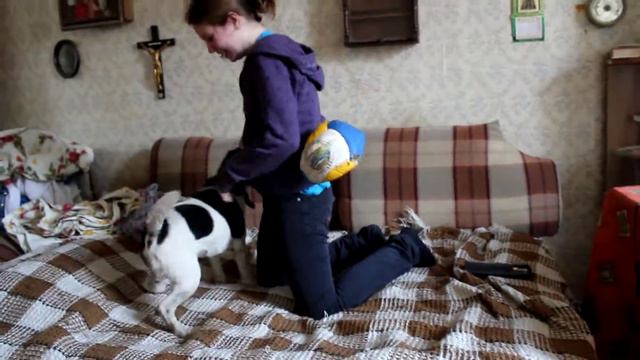 Бакс) смотреть онлайн