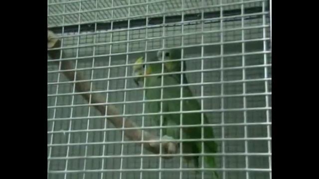 В гостях у Обида Асомова-2 смотреть онлайн